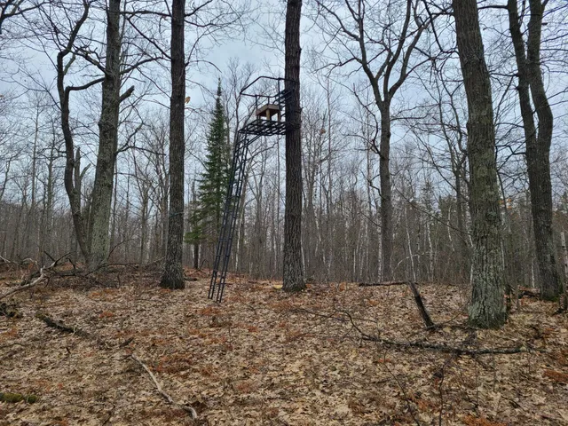 $650,000 | 38257 Dove Street, Aitkin, MN 56431