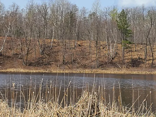 $650,000 | 38257 Dove Street, Aitkin, MN 56431