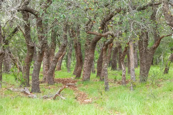 $12,995,000 | 12601 Farm To Market 586, Brookesmith, TX 76827