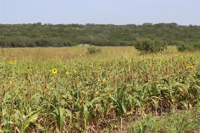 $12,995,000 | 12601 Farm To Market 586, Brookesmith, TX 76827