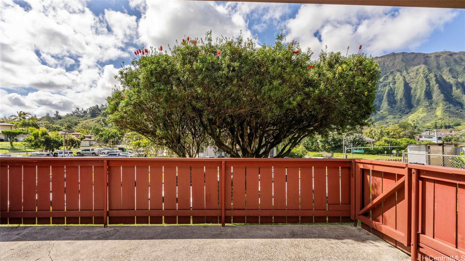 a view of a backyard with wooden fence and plants
