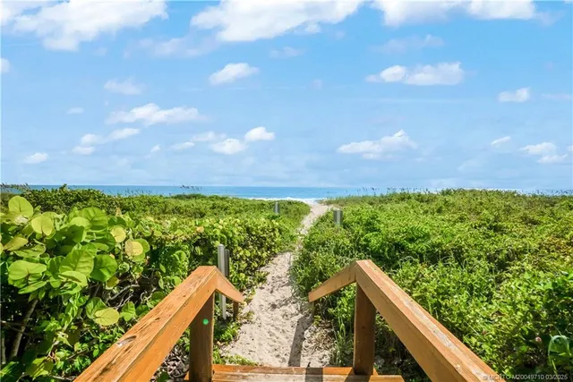 a backyard of a house with lots of green space and a fountain
