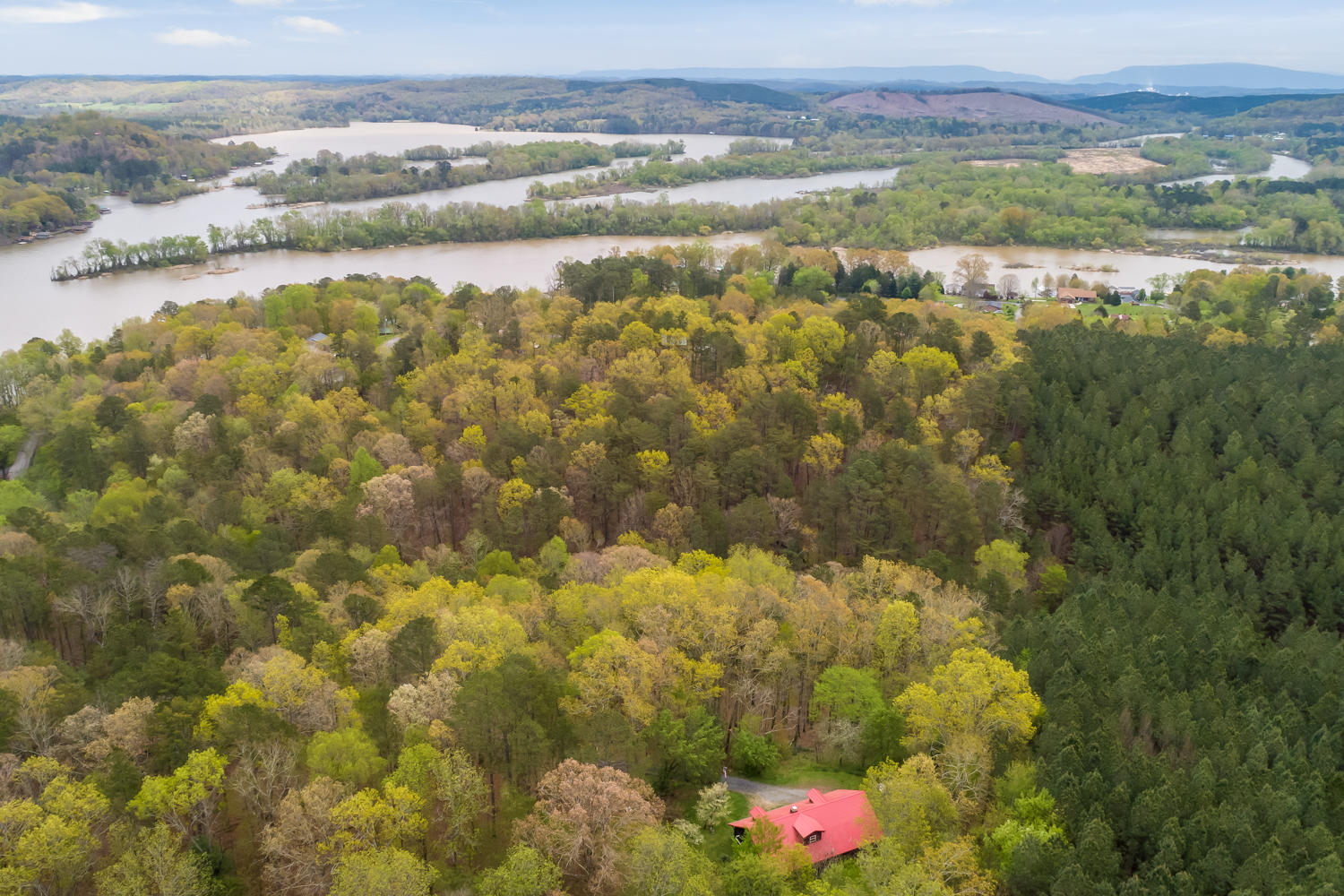 1251 Eads Bluff Road Northwest Georgetown, TN 37336 - Photo 4 of 31 1251_NW_Eads_Bluff_Ln_14