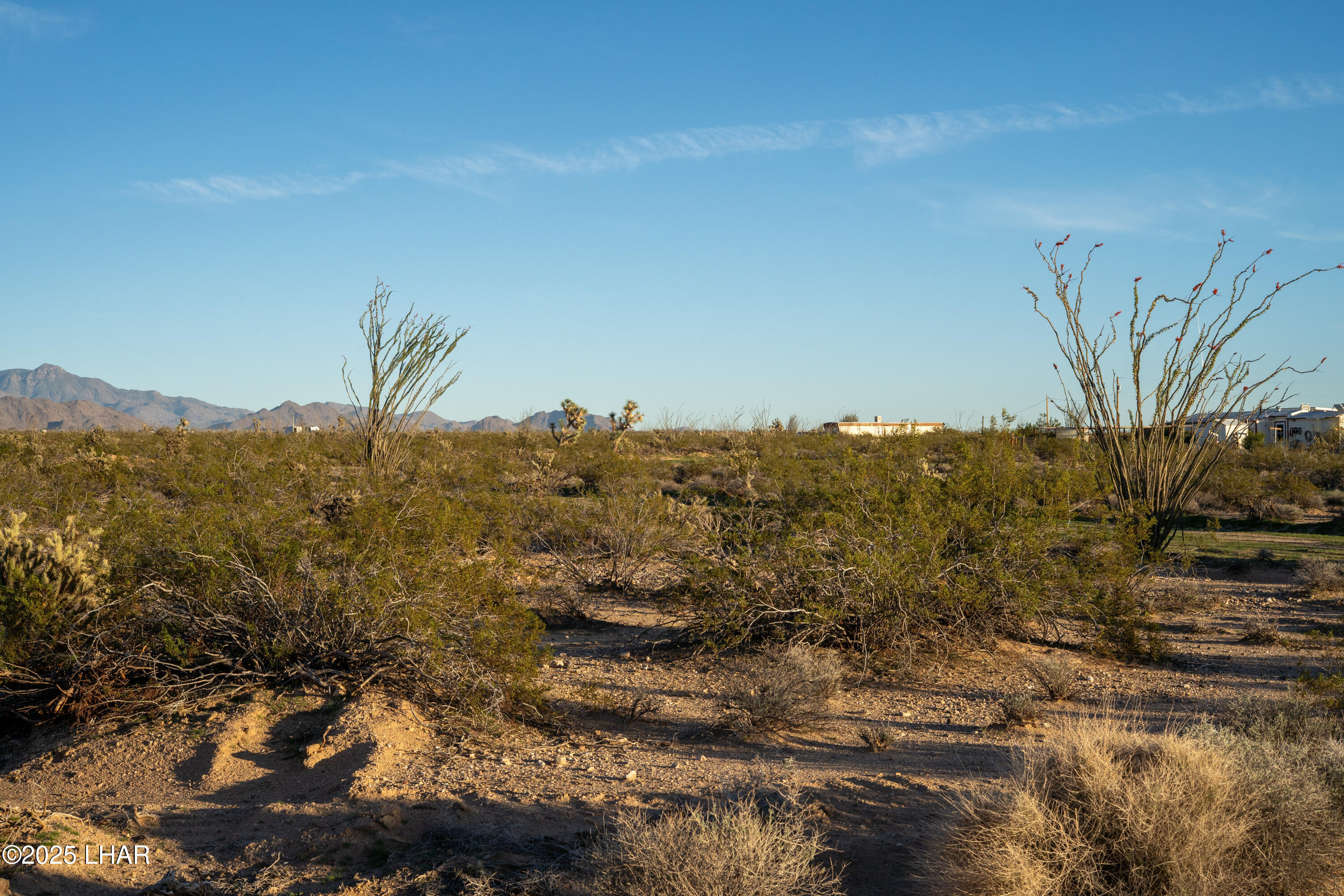 Lot 29 South Carmen Road Yucca, AZ 86438 - Photo 5 of 22 a view of a large building with mountains in the background
