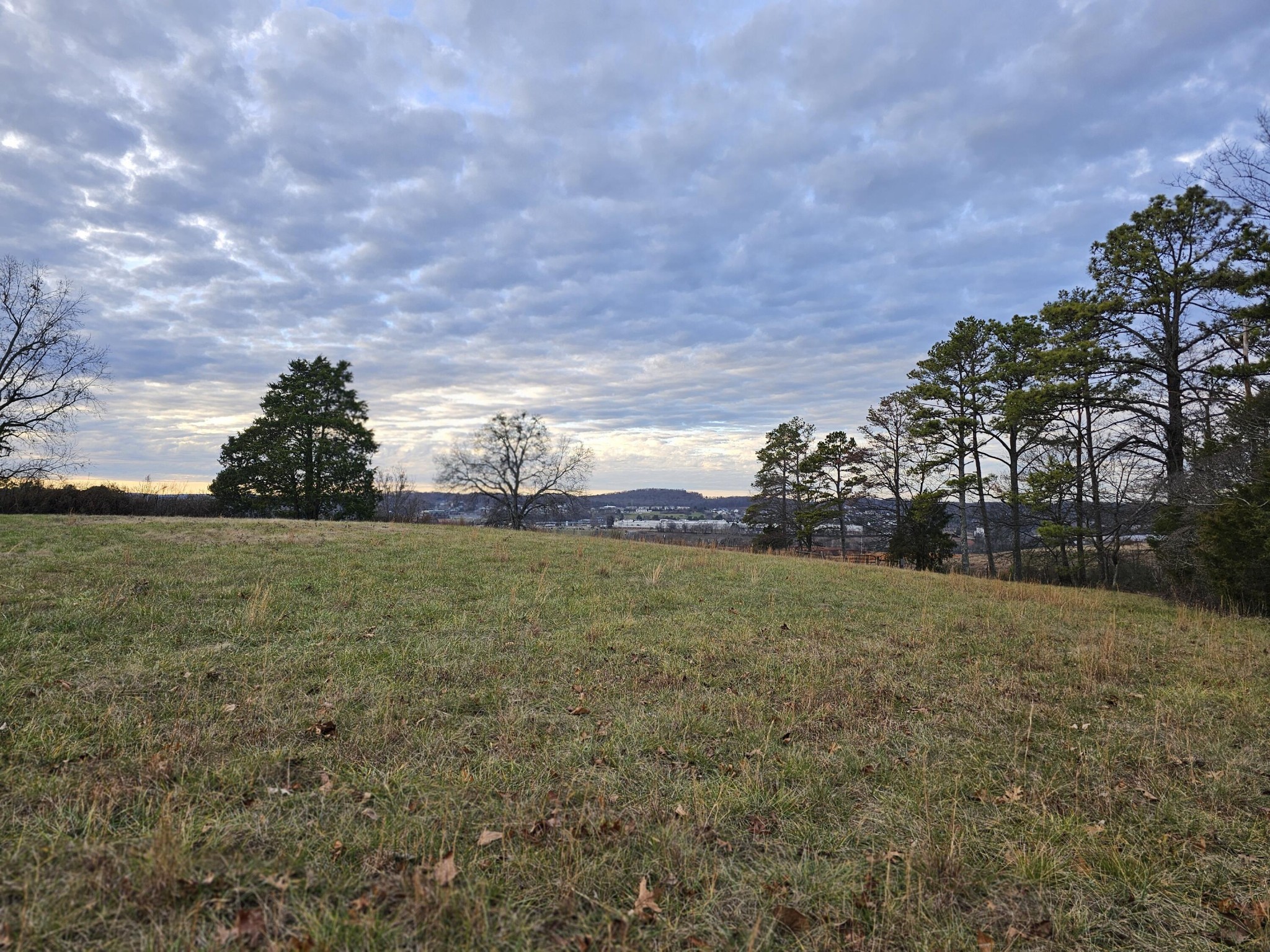 1 Wilkinson Road Northeast Cleveland, TN 37323 - Photo 3 of 4 Gallery Image 3