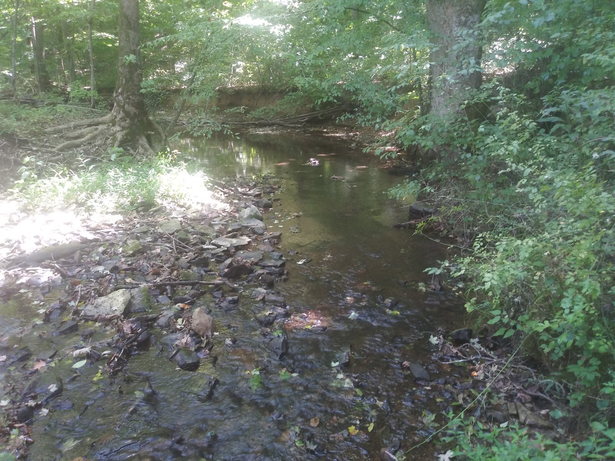 192 Contrary Road Burns, TN 37029 - Photo 19 of 65