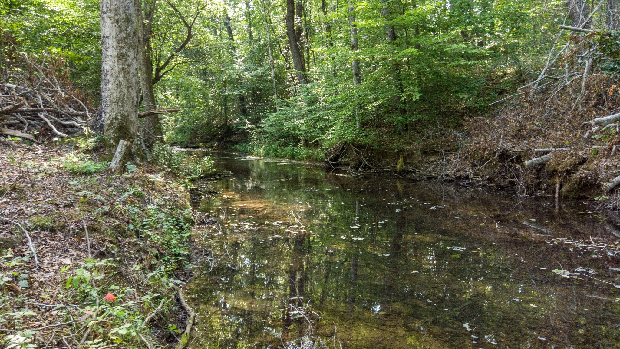 192 Contrary Road Burns, TN 37029 - Photo 20 of 65