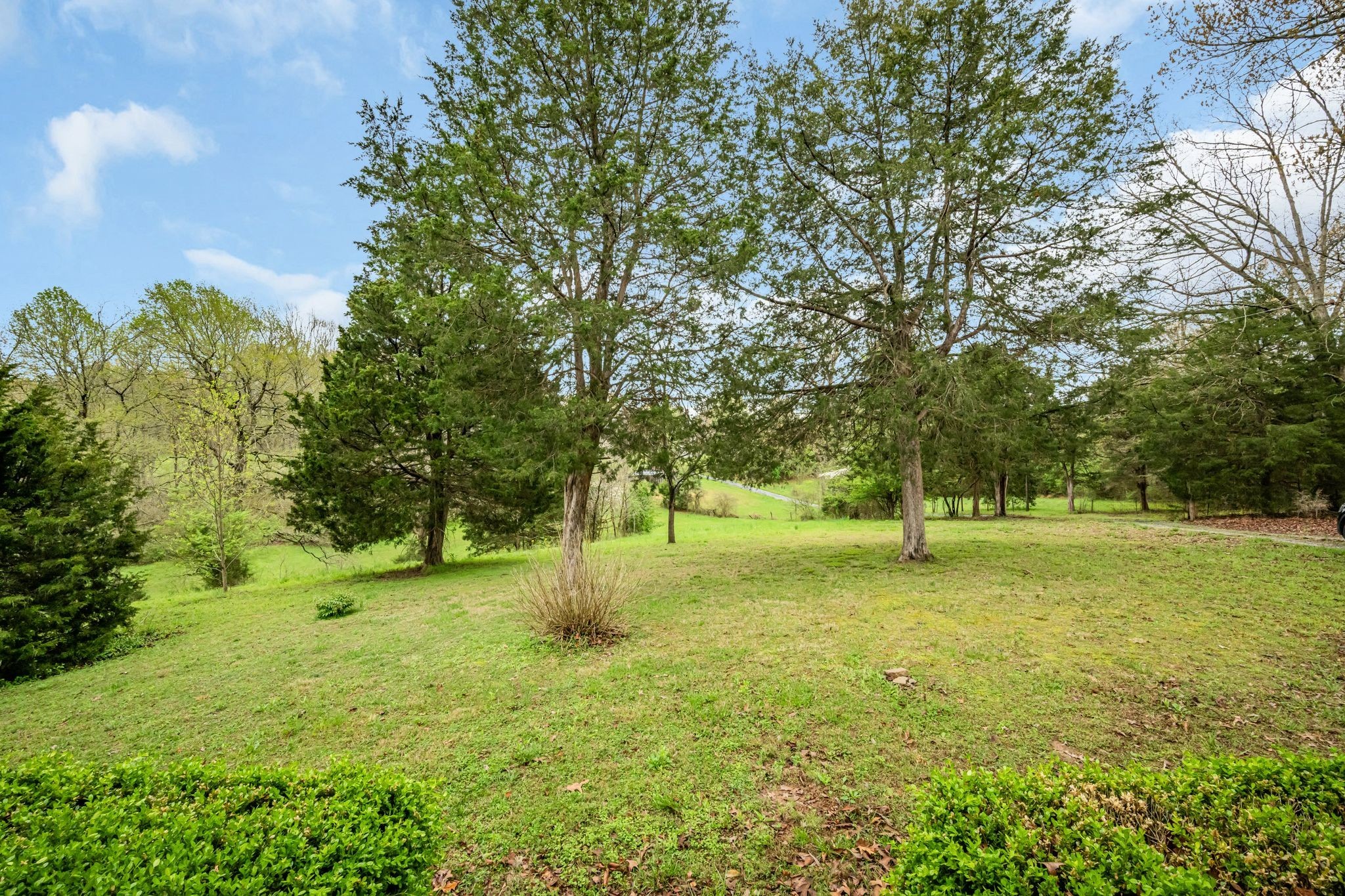 192 Contrary Road Burns, TN 37029 - Photo 21 of 65