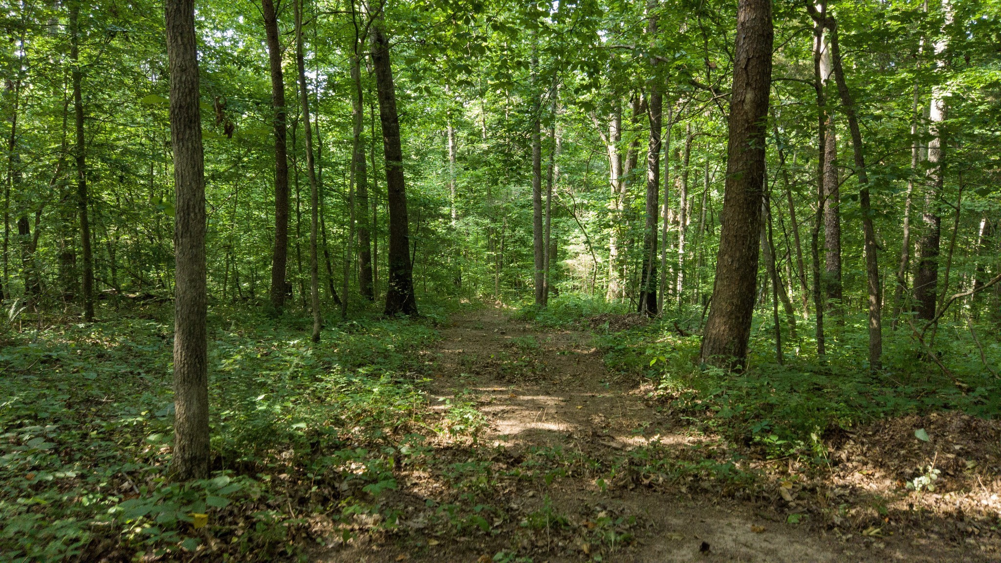 192 Contrary Road Burns, TN 37029 - Photo 23 of 65