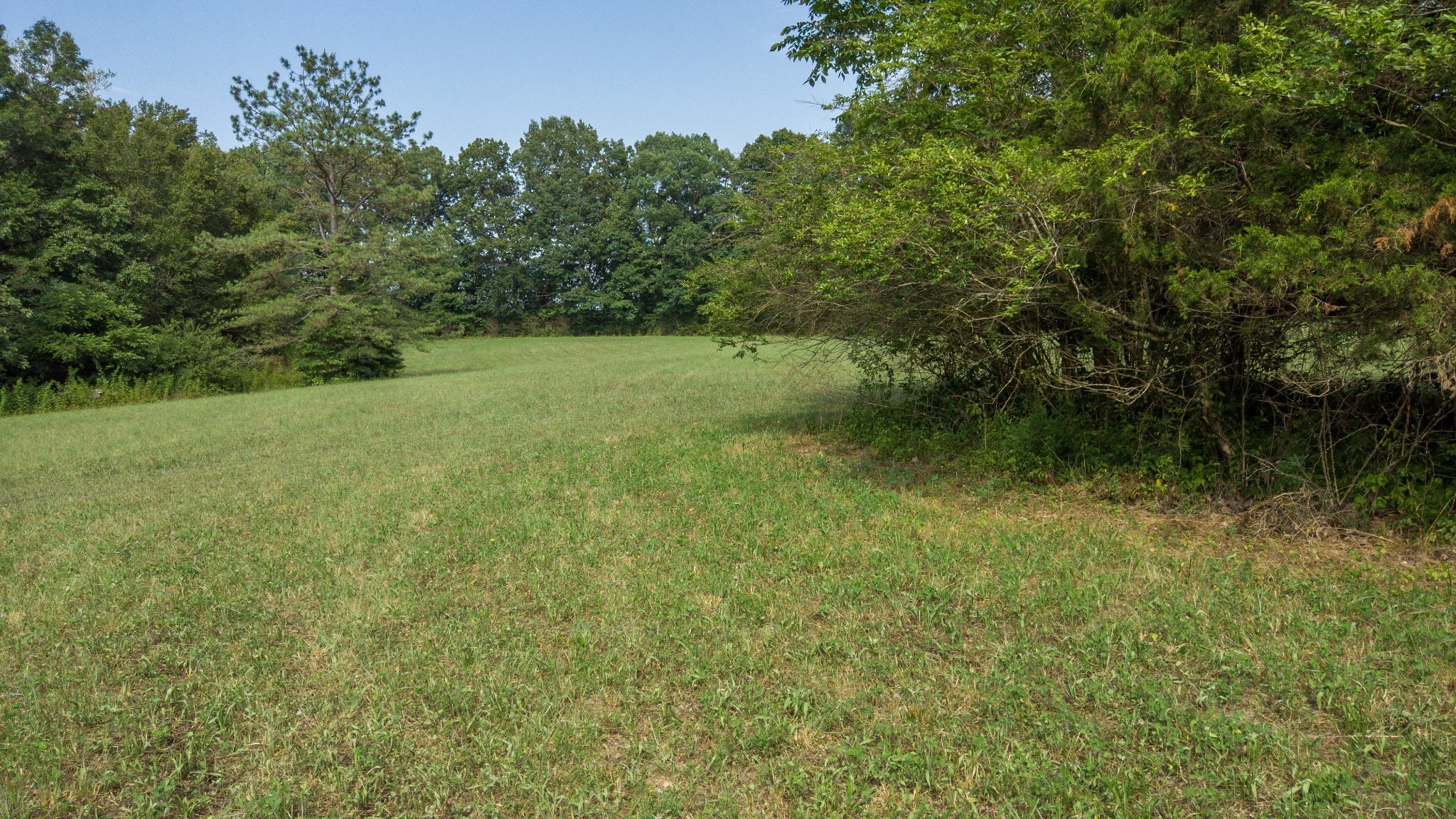 192 Contrary Road Burns, TN 37029 - Photo 24 of 65