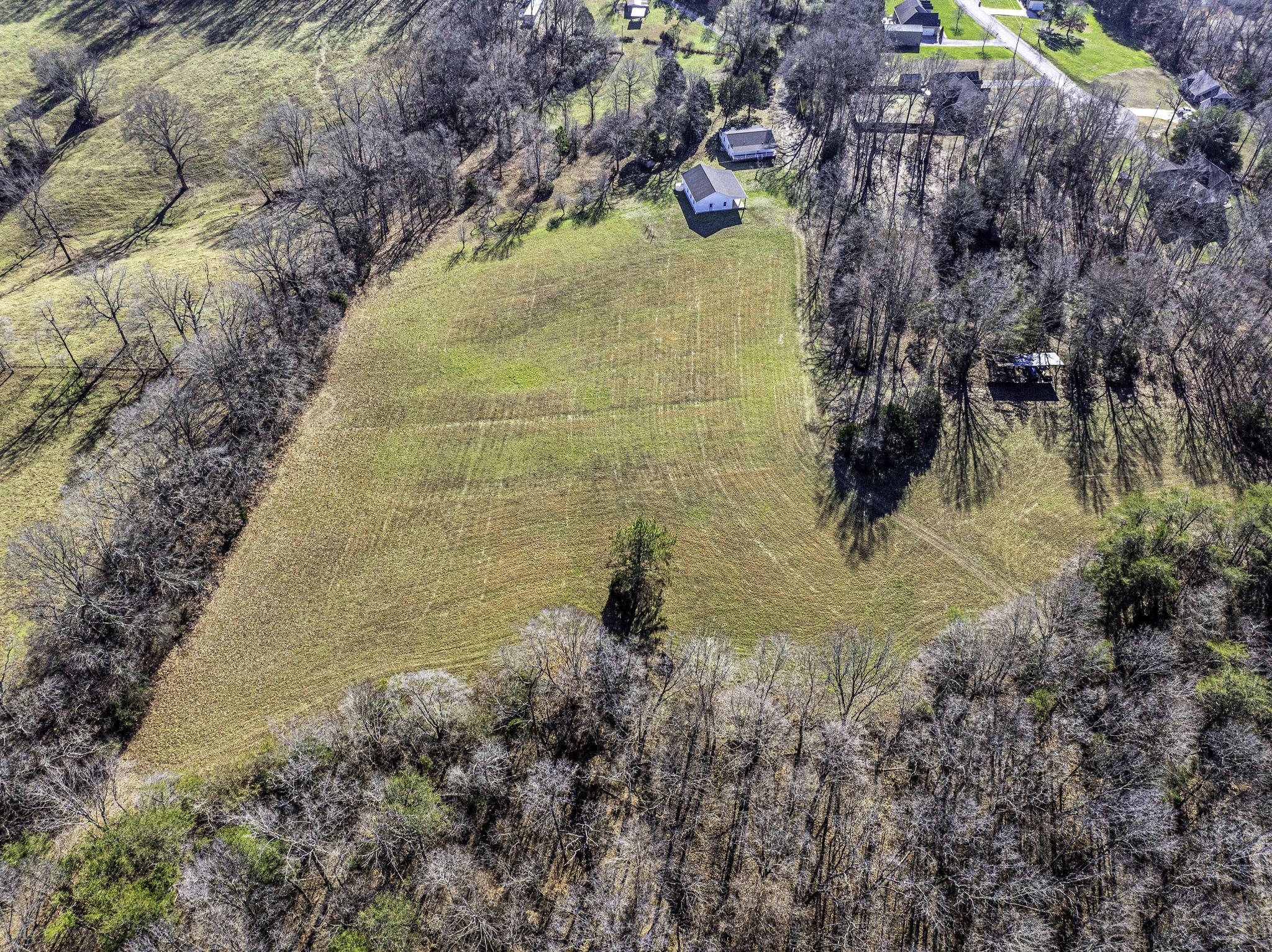 192 Contrary Road Burns, TN 37029 - Photo 62 of 65