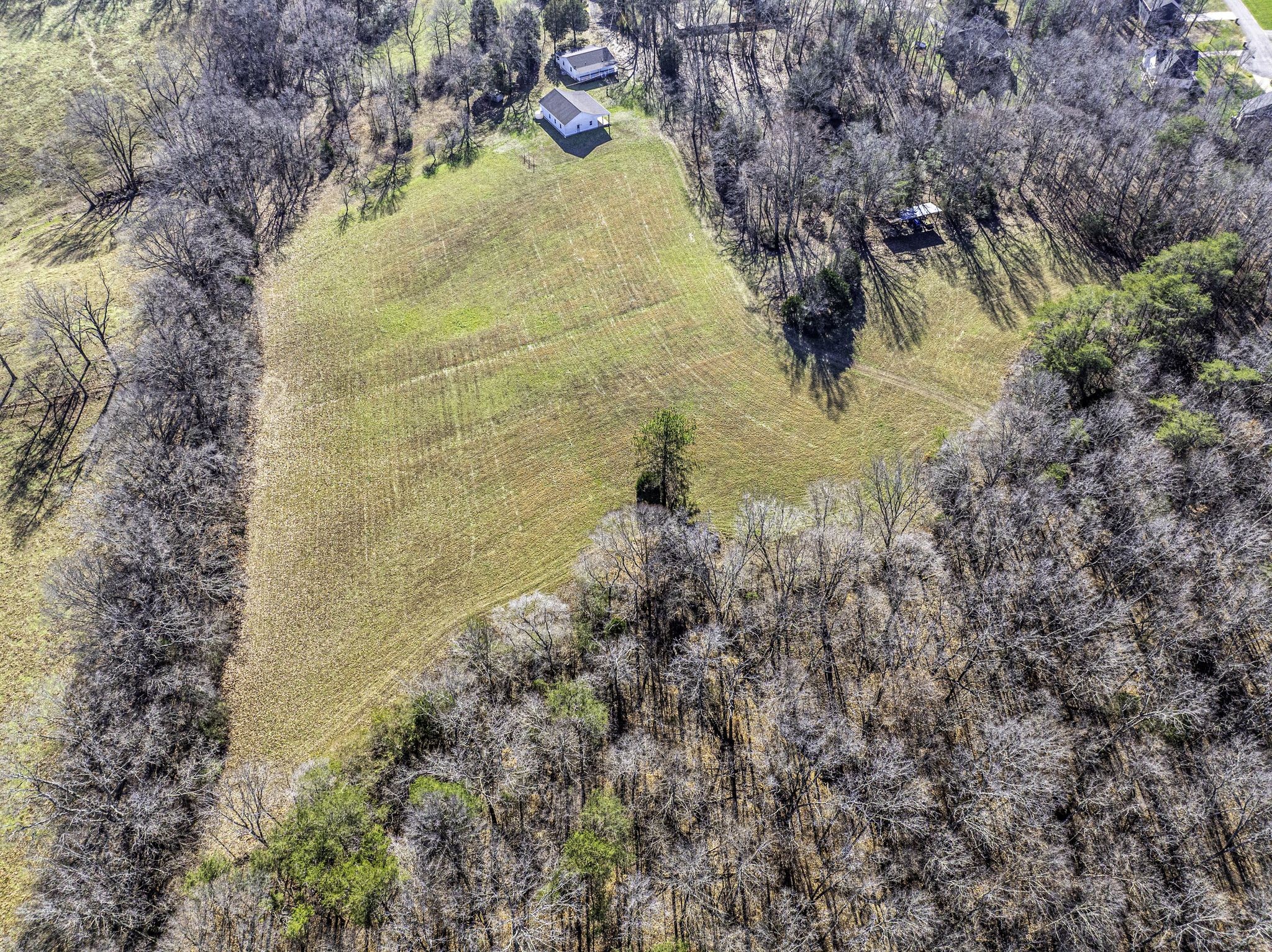 192 Contrary Road Burns, TN 37029 - Photo 63 of 65