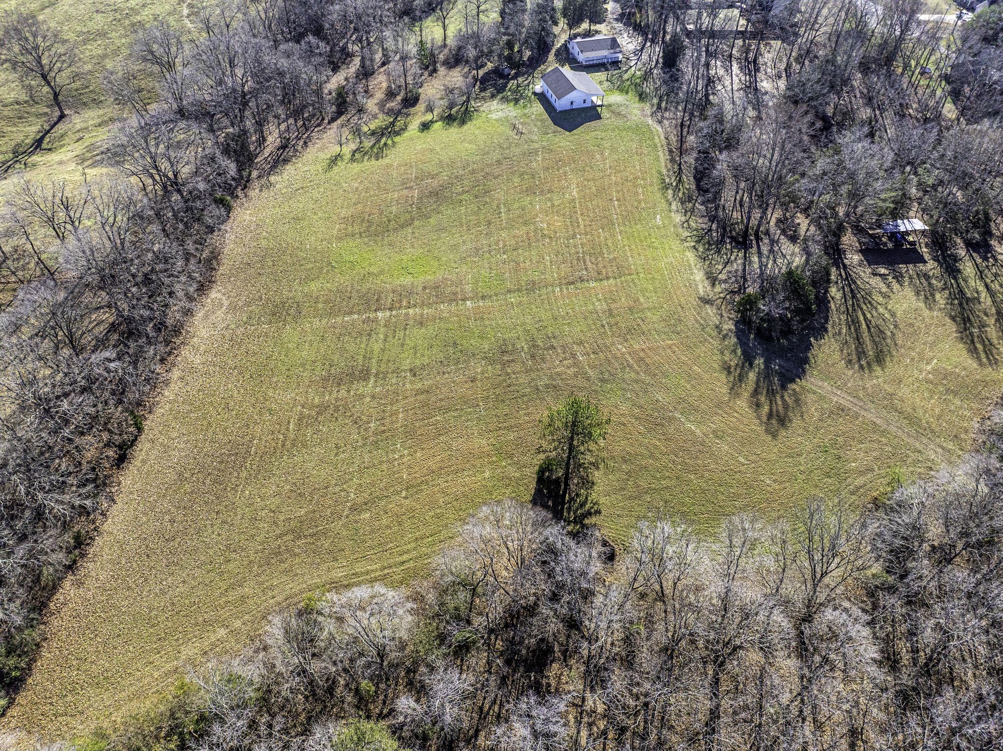 192 Contrary Road Burns, TN 37029 - Photo 64 of 65