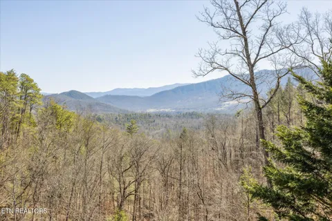 $999,999 | 228 Tolliver Trail, Townsend, TN 37882
