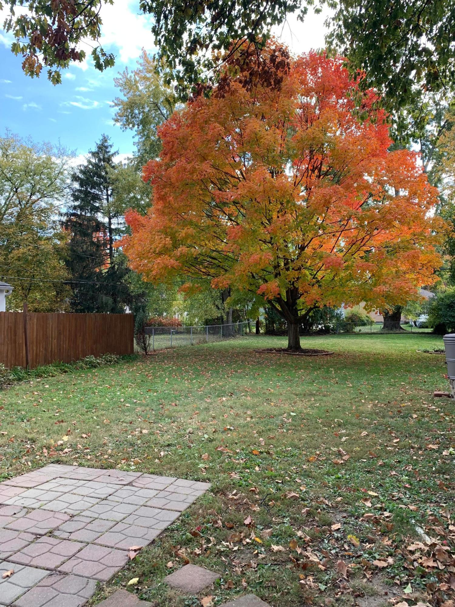 367 Garden Road Columbus, OH 43214 - Photo 2 of 33 Gallery Image 2