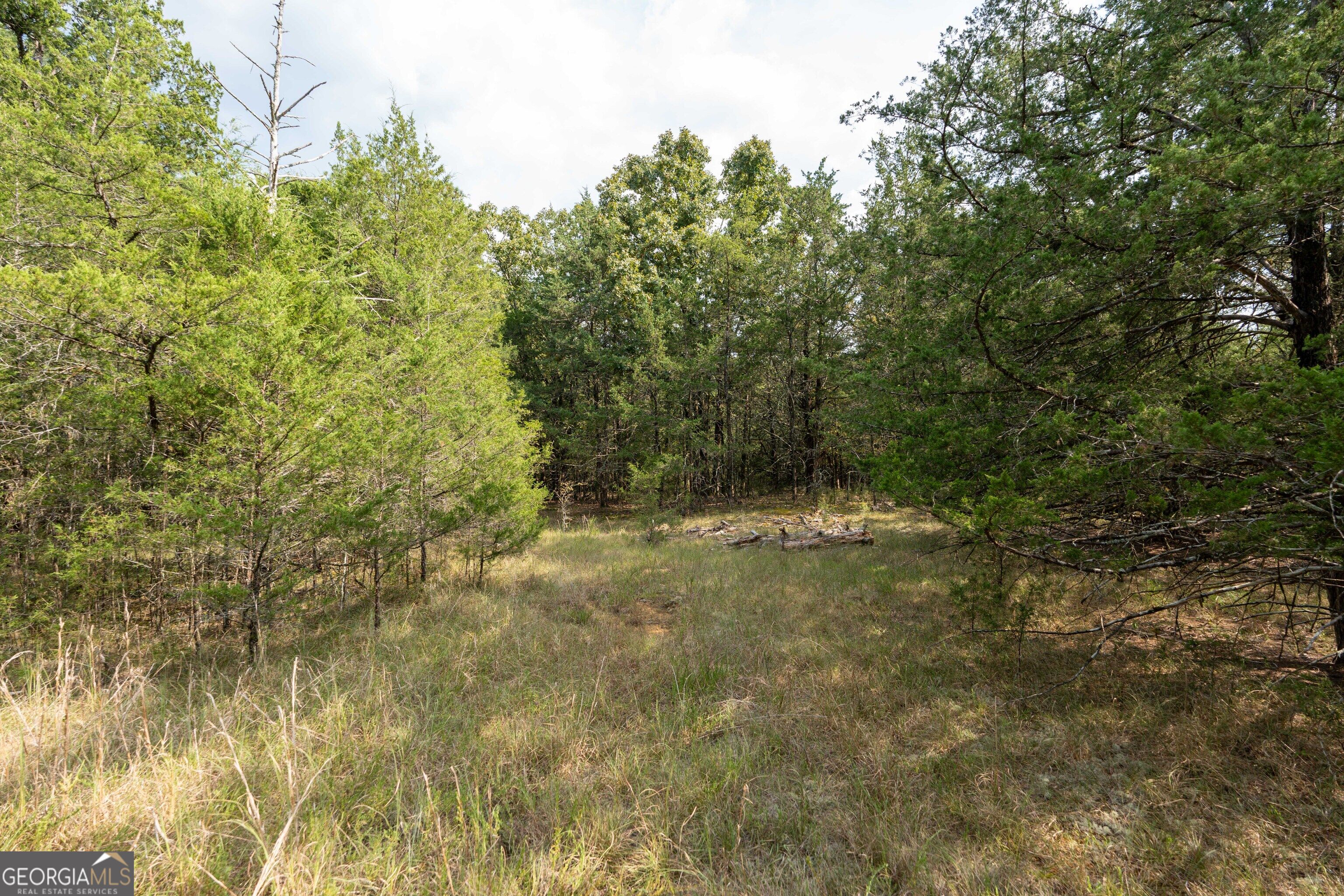 1419 Bobby Brown State Park Road Elberton, GA 30635 - Photo 39 of 90 Gallery Image 39