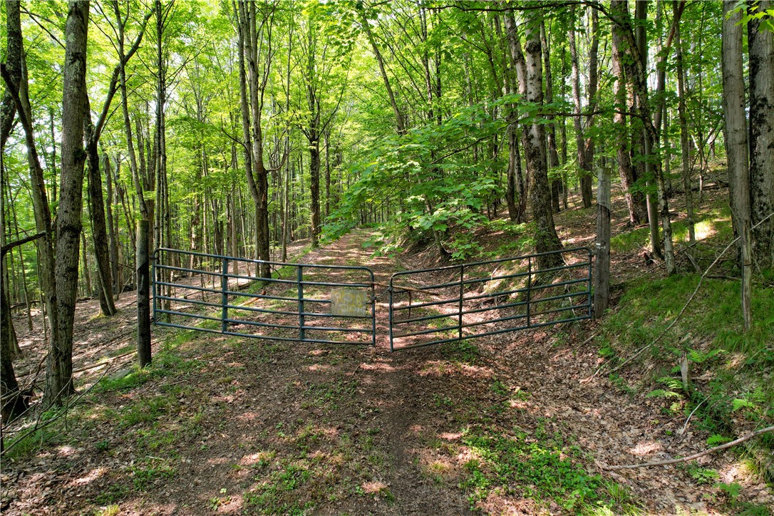 Roadway and gate looking into the property from th