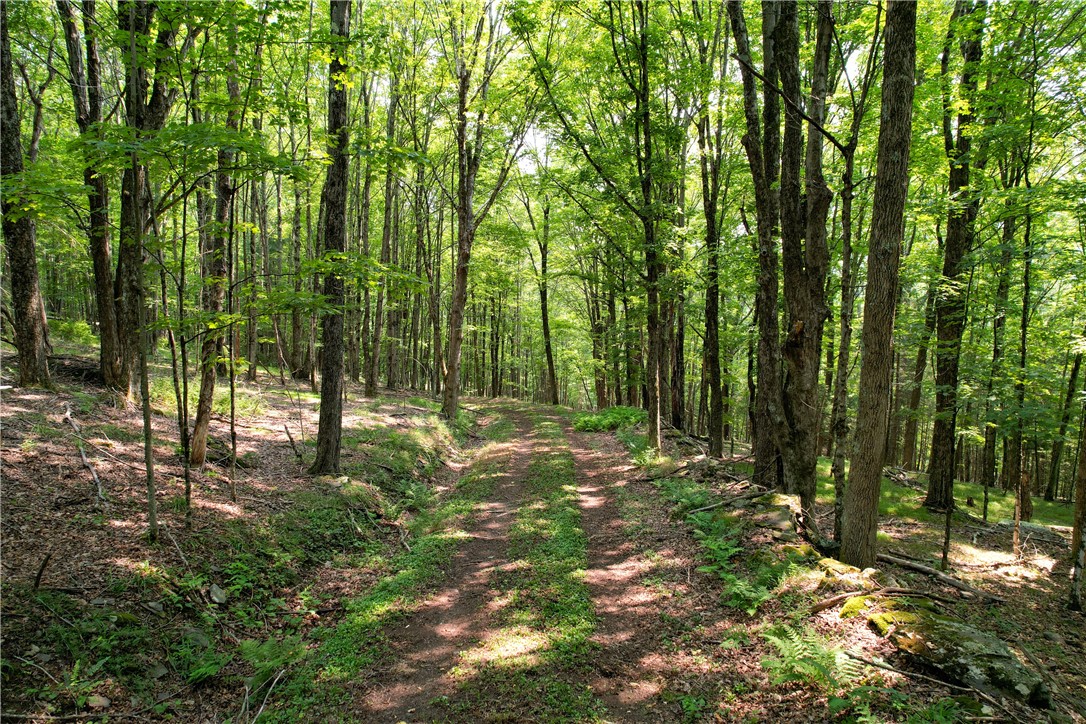 0 Red Kill Road Fleischmanns, NY 12430 - Photo 11 of 11 Roadway looking down as it turns into Paradise Cam