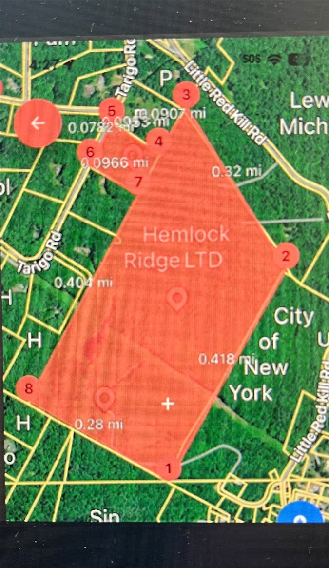 0 Red Kill Road Fleischmanns, NY 12430 - Photo 2 of 11