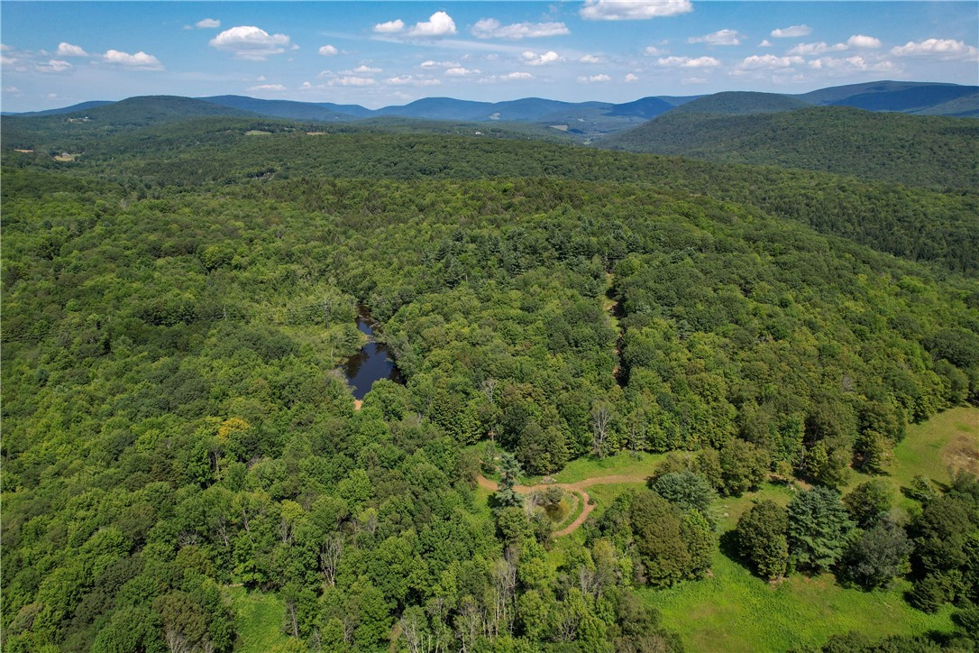 0 Red Kill Road Fleischmanns, NY 12430 - Photo 3 of 11 View looking Northeast. Meadows, forest and pon