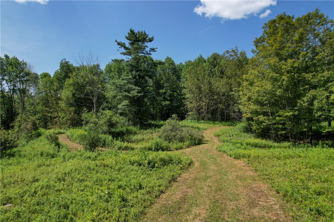 0 Red Kill Road Fleischmanns, NY 12430 - Photo 4 of 11 Westerly clearing