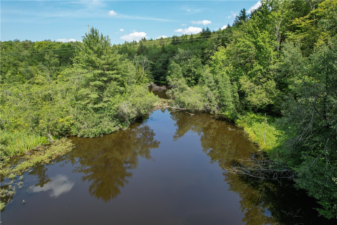 0 Red Kill Road Fleischmanns, NY 12430 - Photo 6 of 11 Long view of the pond