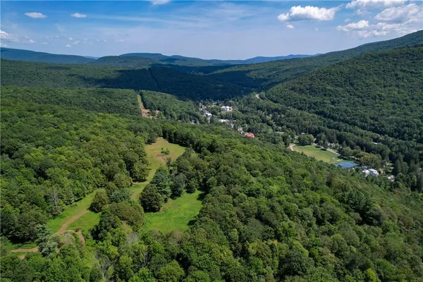 $1,475,000 | 0 Red Kill Road, Fleischmanns, NY 12430