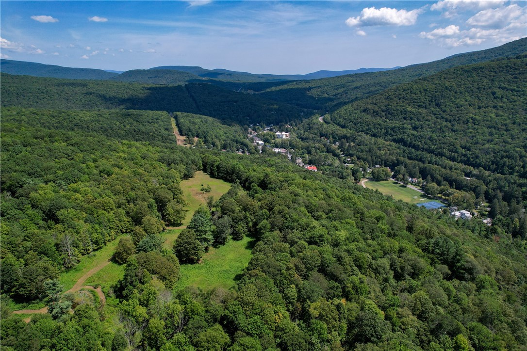 0 Red Kill Road Fleischmanns, NY 12430 - Photo 7 of 11 Another view with both meadows (partial)