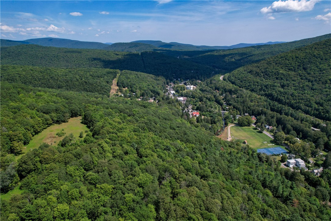 0 Red Kill Road Fleischmanns, NY 12430 - Photo 8 of 11 Broader view looking south east