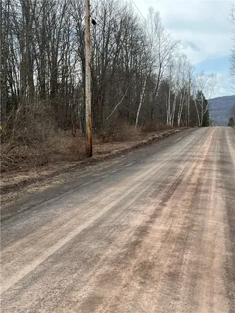$1,475,000 | 0 Red Kill Road, Fleischmanns, NY 12430