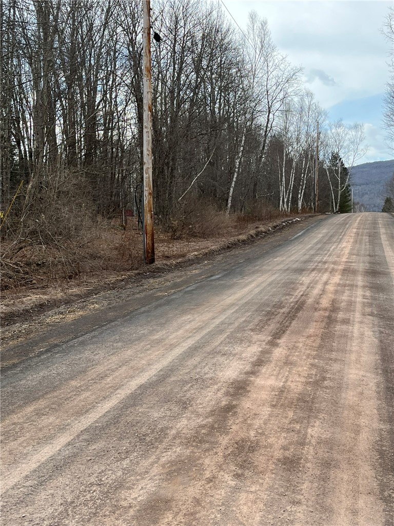 0 Red Kill Road Fleischmanns, NY 12430 - Photo 10 of 11 Southerly view on Tarigo road with property on the