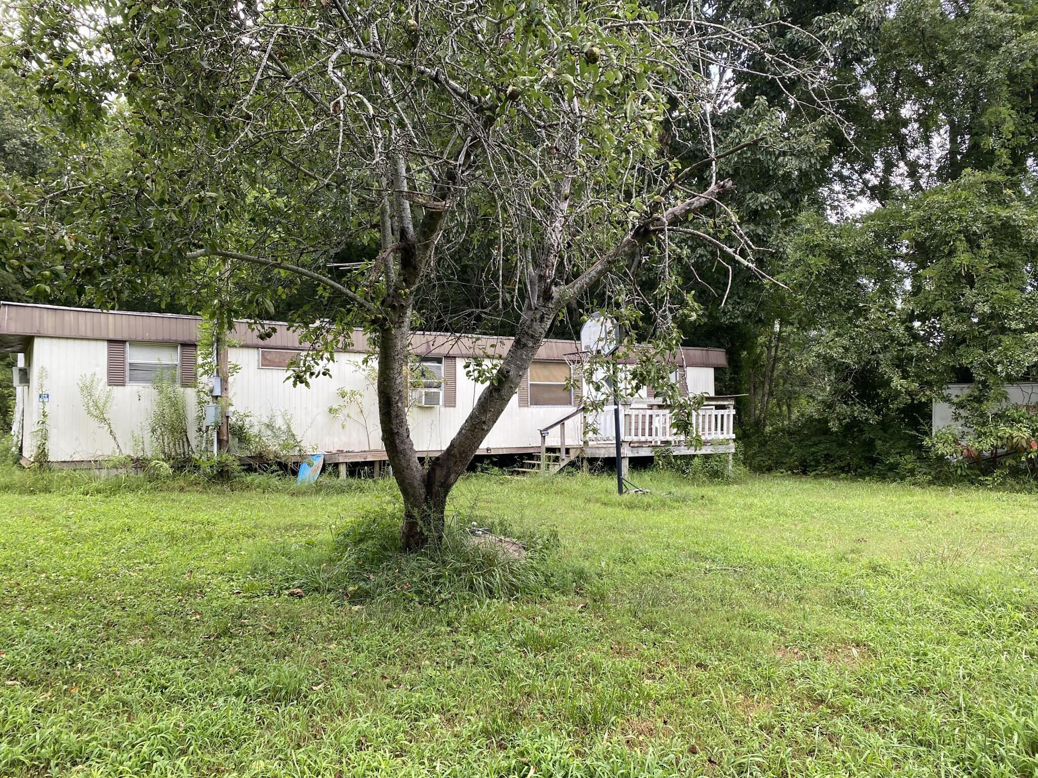 259 Cooper Road Trenton, GA 30752 - Photo 8 of 15 IMG_3171