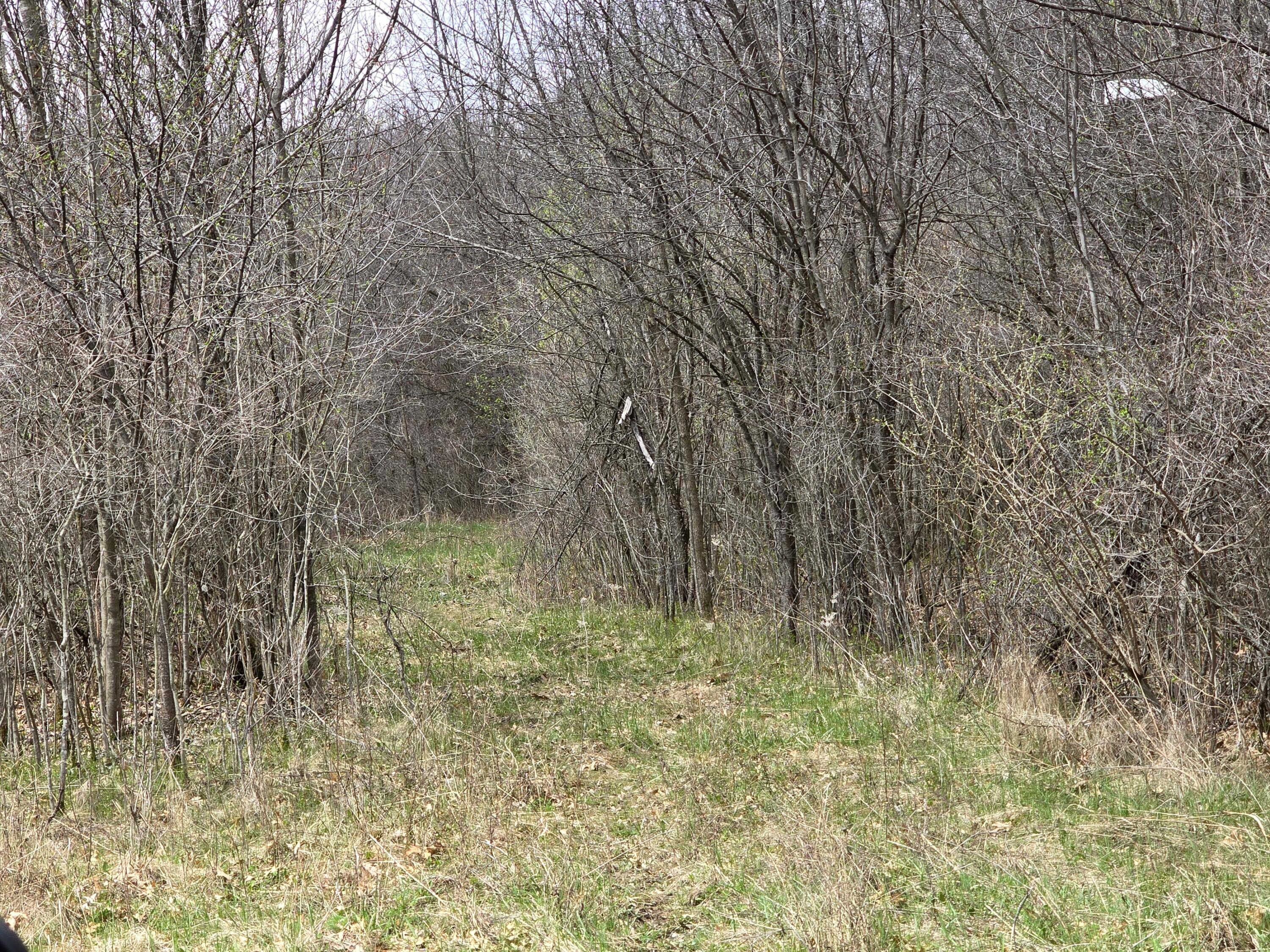 1284 Maplegrove Road Jackson, MI 49201 - Photo 20 of 45 20260413_132456