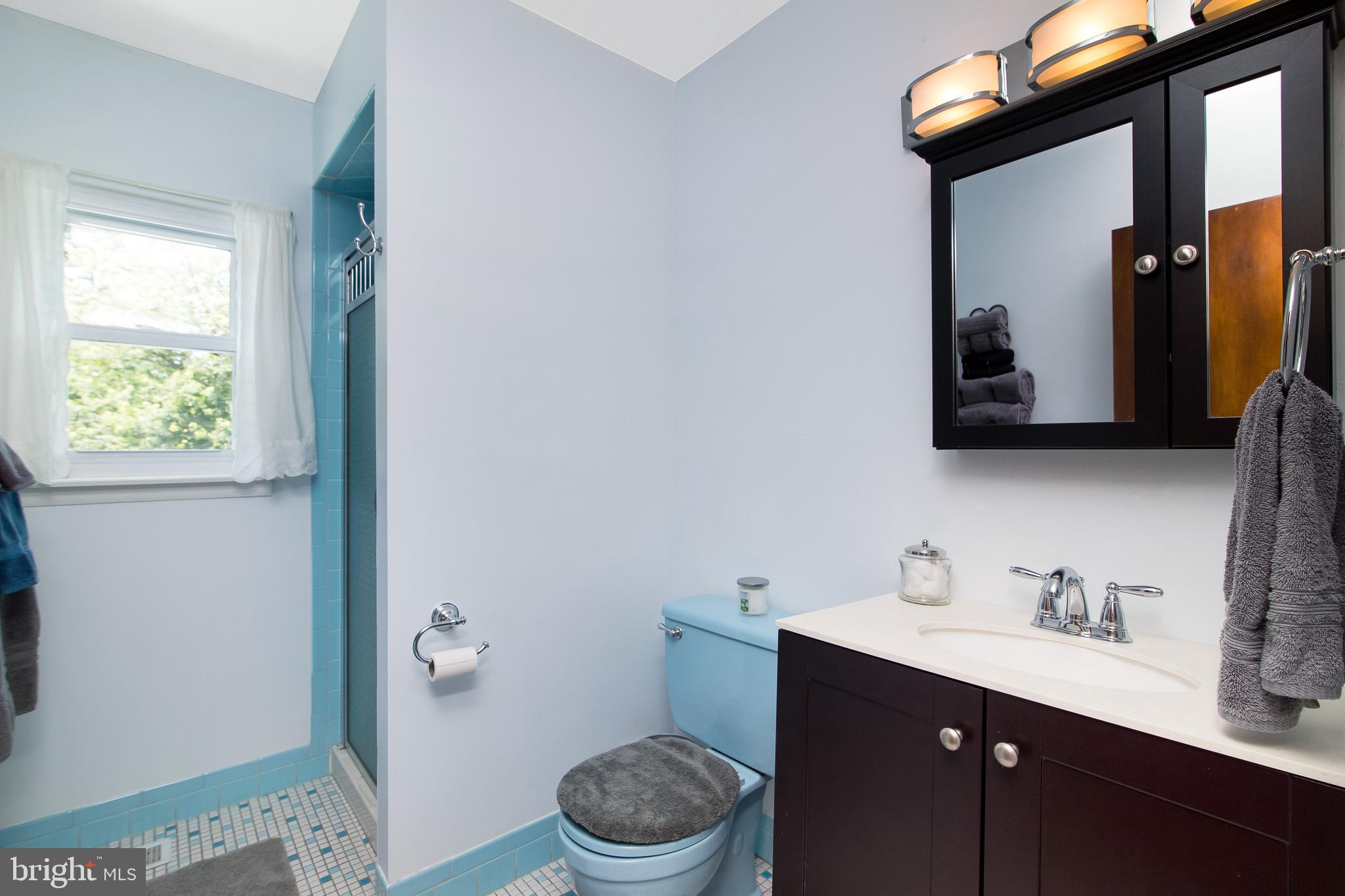 414 St David Drive Mount Laurel, NJ 08054 - Photo 20 of 34 Master Bath, Updated Vanity & Shower Stall