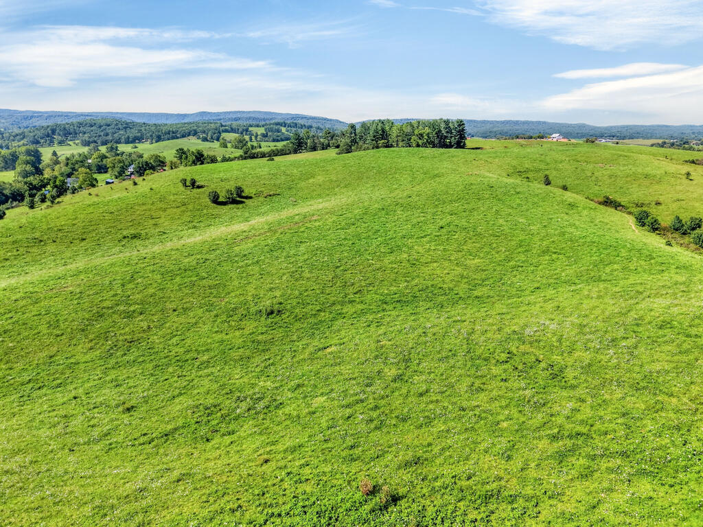 Tbd Peppers Ferry Road, Unit TRACT 4 Wytheville, VA 24382 - Photo 51 of 63 Gallery Image 51