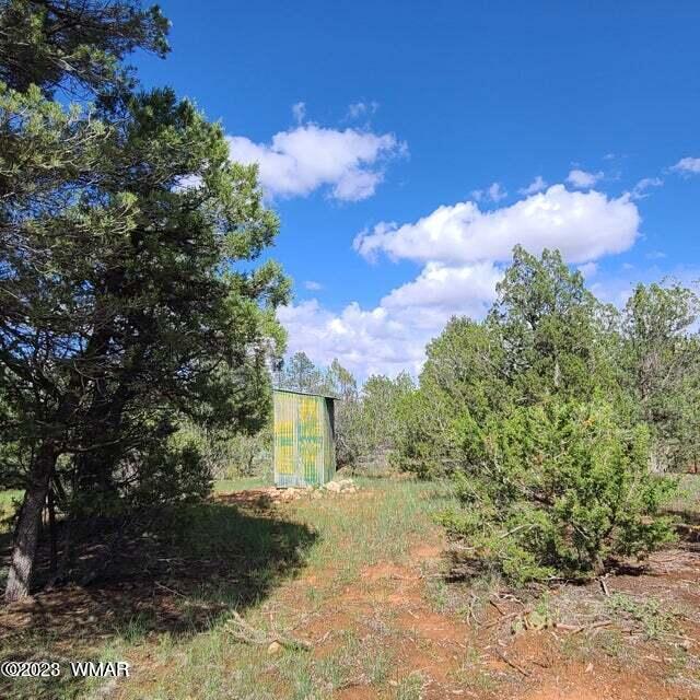 3091 Highway 277 Overgaard, AZ 85933 - Photo 14 of 34