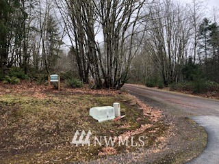 45 Highmoor Road Toutle, WA 98649 - Photo 2 of 14