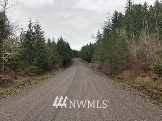 45 Highmoor Road Toutle, WA 98649 - Photo 11 of 14