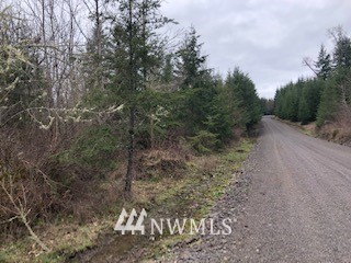 45 Highmoor Road Toutle, WA 98649 - Photo 9 of 14