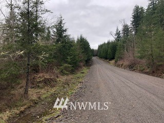 45 Highmoor Road Toutle, WA 98649 - Photo 10 of 14