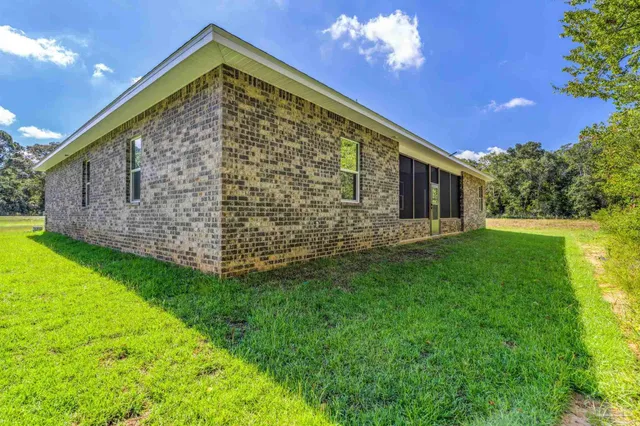 a view of a backyard with plants and large trees