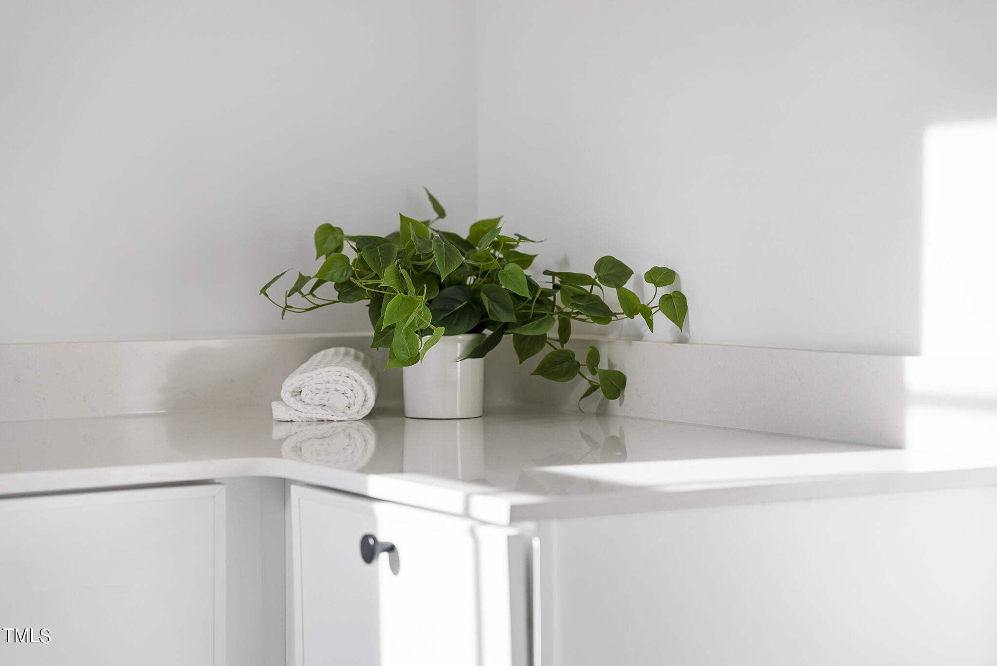 3305 Founding Place Raleigh, NC 27612 - Photo 72 of 100 DSC07911