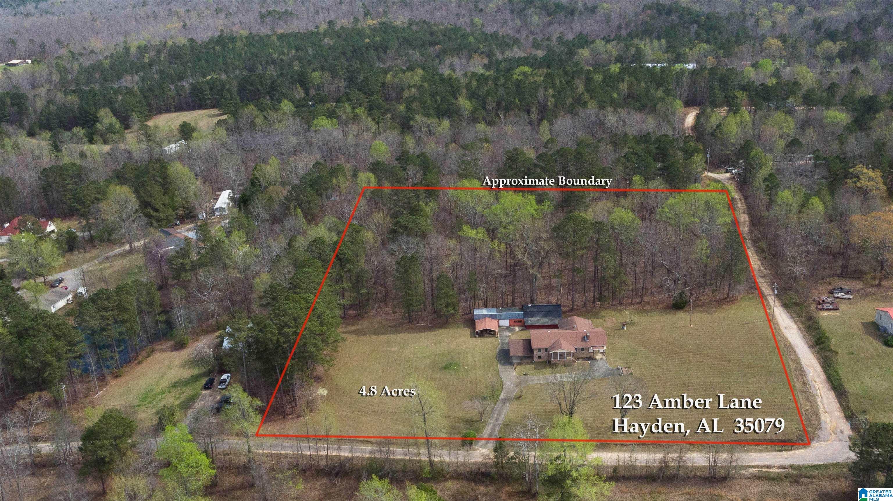 123 Amber Lane Hayden, AL 35079 - Photo 56 of 68