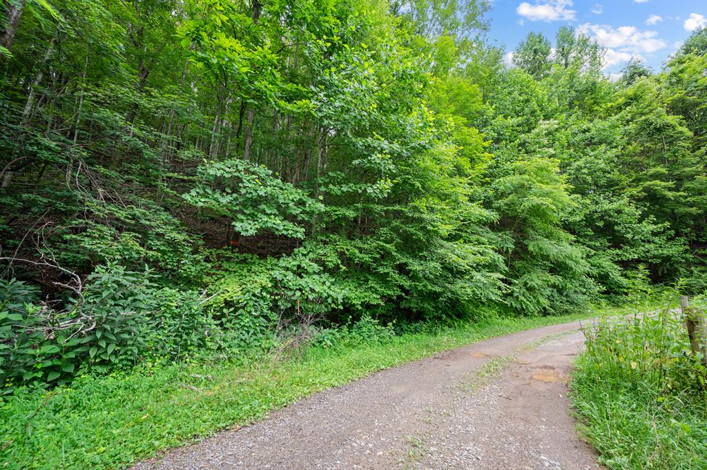 Lot G Springdale Road, Unit G Pearisburg, VA 24134 - Photo 19 of 62 Gallery Image 19