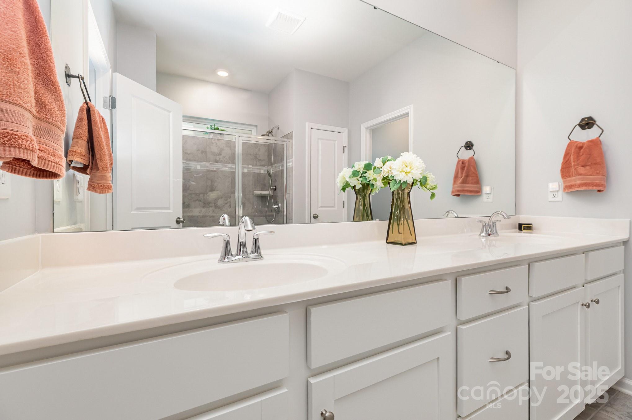 1659 Loggerhead Drive Lancaster, SC 29720 - Photo 12 of 29 a bathroom with a sink and a mirror