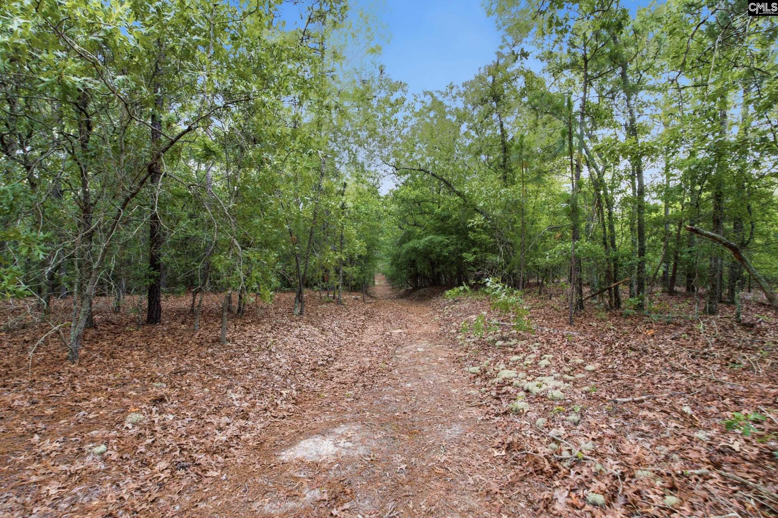 3390 State Rd S-28-496 Kershaw, SC 29067 - Photo 6 of 26