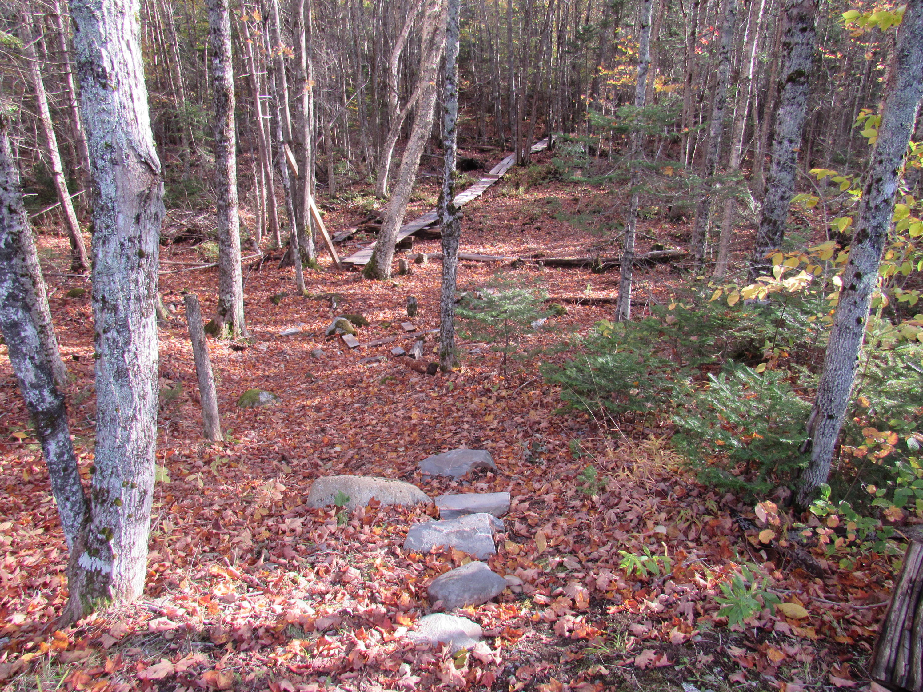146 Smithton Road Freedom, ME 04941 - Photo 24 of 25 Back yard to woods