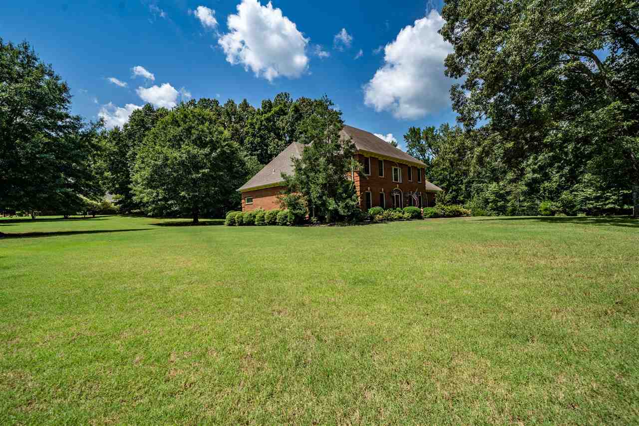 520 Woodbridge Road Somerville, TN 38068 - Photo 4 of 24 Gallery Image 4