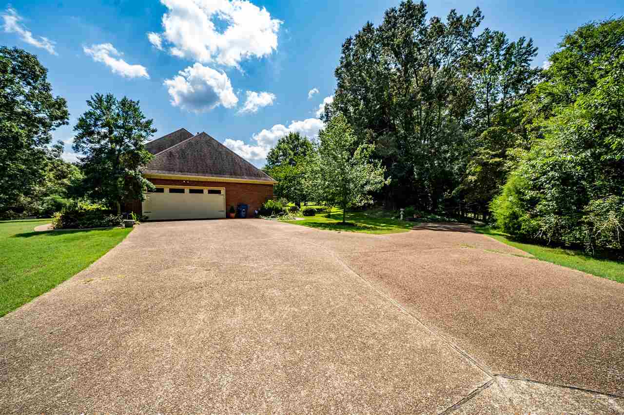 520 Woodbridge Road Somerville, TN 38068 - Photo 6 of 24 Gallery Image 6