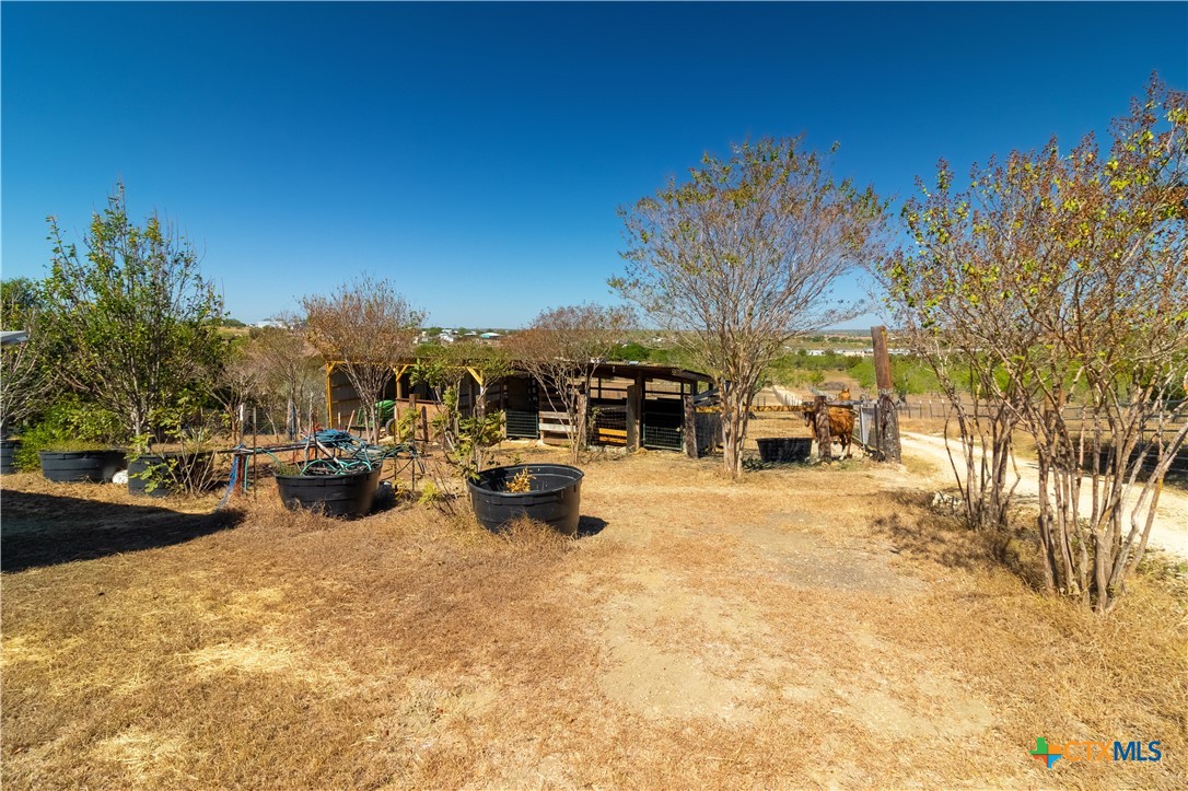 250 Rocky Road Lockhart, TX 78644 - Photo 40 of 45 a view of swimming pool with outdoor seating
